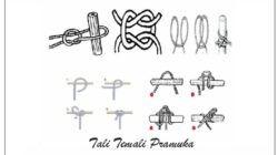 TALI TEMALI