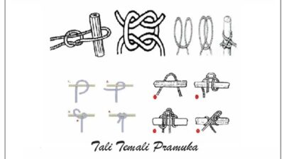 TALI TEMALI